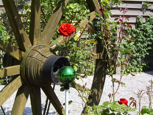 Sonnengarten 004.jpg